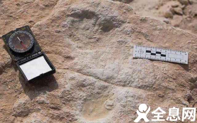 考古学家在沙特发现距今12万多年前的人类脚印