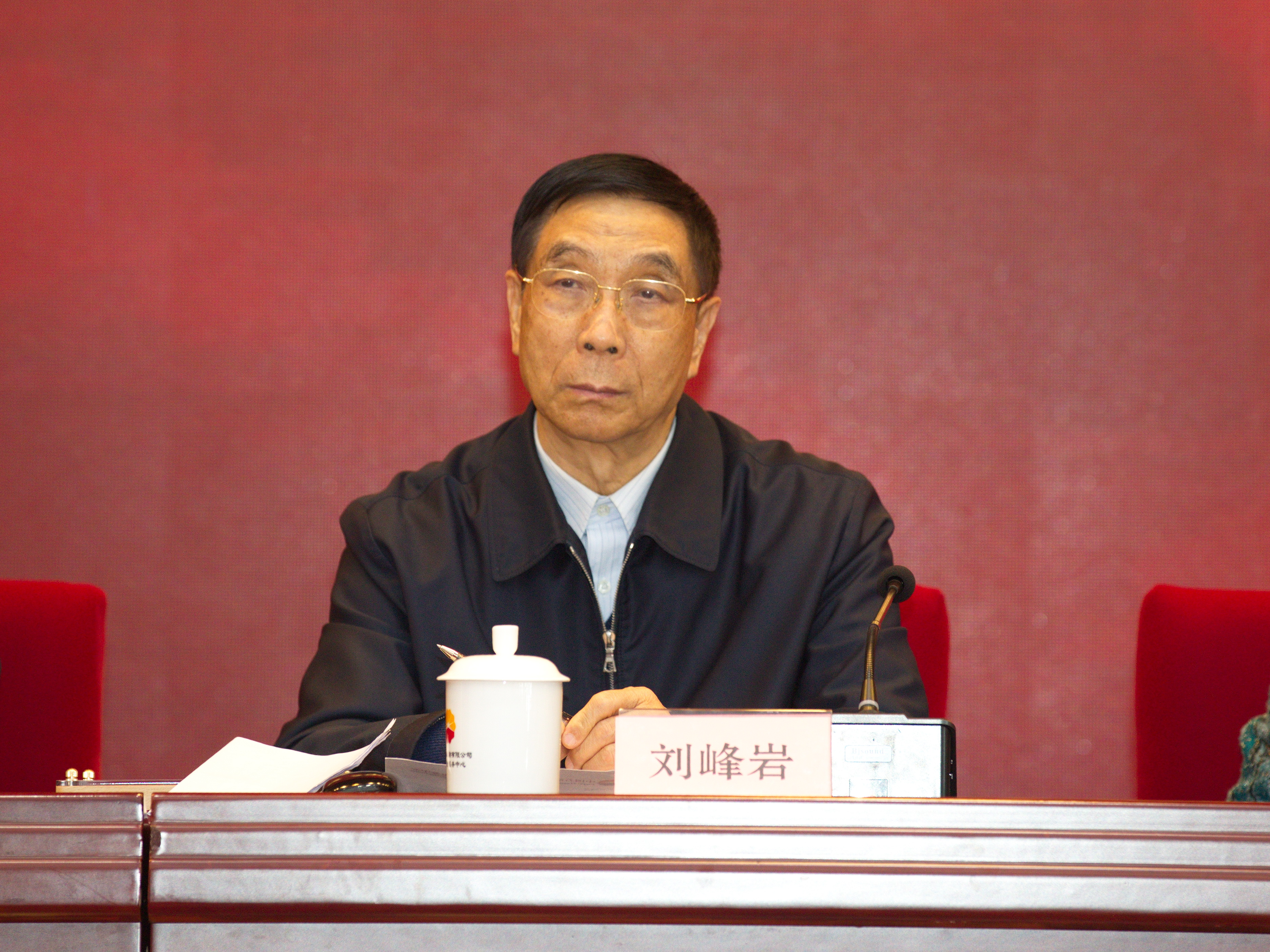中国关工委常务副主任刘峰岩宣读表扬决定.jpg