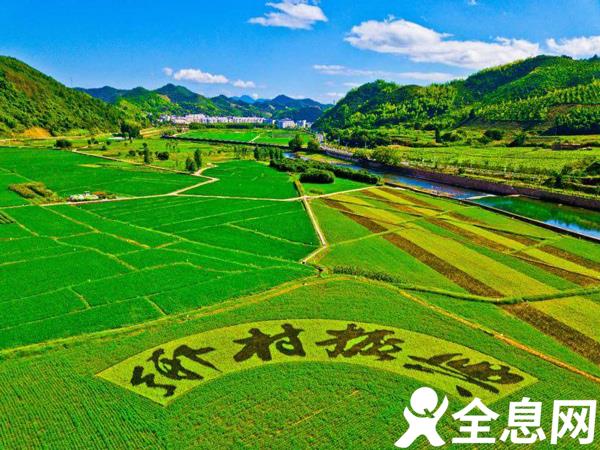 乡村振兴，“东成”也要“西就” ——代表委员关注新时期东西部产业协作