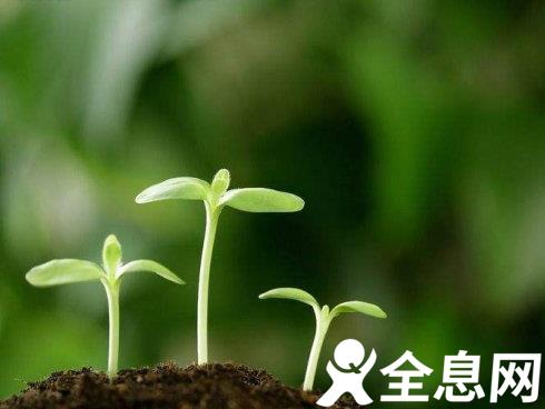 播撒希望种子 耕耘美好未来 ——2021年全国两会“三农”好声音综述