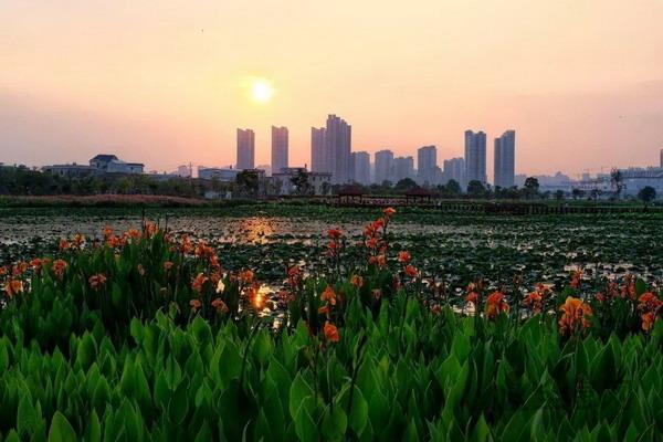 中共中央 国务院关于加大统筹城乡发展力度进一步夯实农业农村发展基础的若干意见（2010）