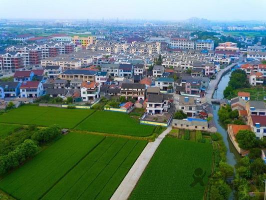 中共中央 国务院关于积极发展现代农业扎实推进社会主义新农村建设的若干意见（2007）