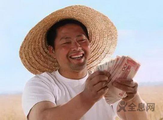 中共中央 国务院关于促进农民增加收入若干政策的意见（2004）