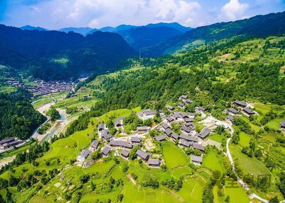 中共中央　国务院 关于抓好“三农”领域重点工作 确保如期实现全面小康的意见（2020）