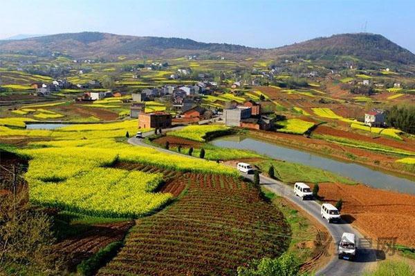 以全面推进乡村振兴促进中华民族伟大复兴——访中央农办主任、农业农村部部长唐仁健