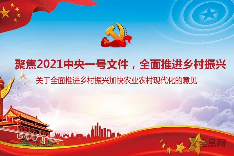 聚焦2021中央一号文件，全面推进乡村振兴