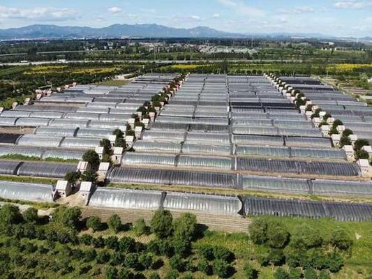 中共中央 国务院关于切实加强农业基础建设进一步促进农业发展农民增收的若干意见（2008）