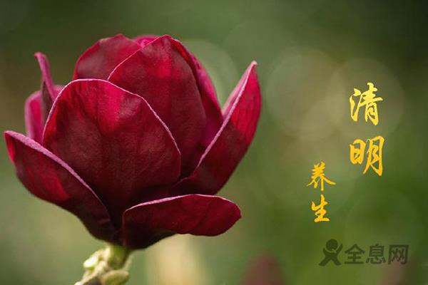 清明节气防病养生，吃穿住行要注意