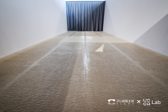 张佳沁 《似与不似》1000 x 400 x 300 cm 2021 