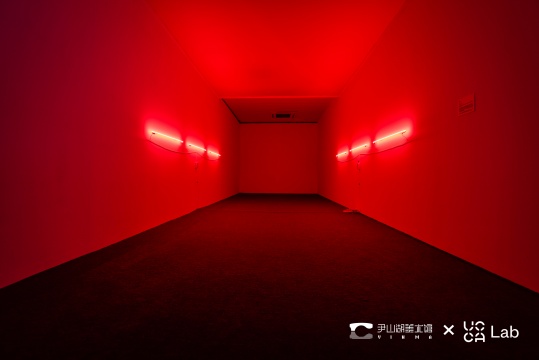 刘亚洲 《双闪》  300x20x20cm 霓虹灯管、玻璃  2021 
