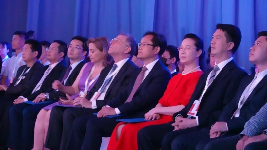 希腊驻华大使乔治•伊利奥普洛斯，海南省委宣传部一级巡视员孙苏，中国对外文化集团董事长李金生，中国对外文化集团董事、总经理李保宗，恒大童世界集团副总裁杨超，文化和旅游部艺术司综合处处长姚达，中央美术学院美术馆馆长张子康出席开幕式活动。 