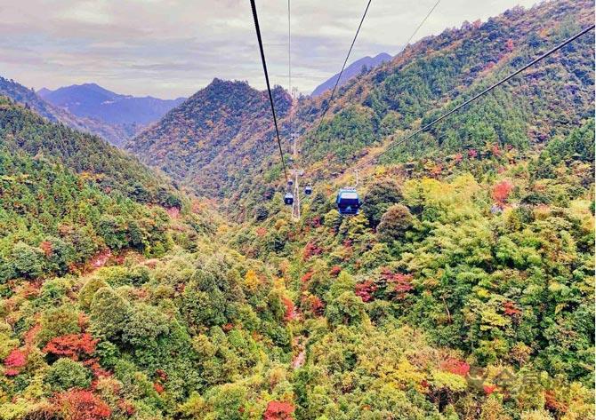 无障碍旅游，残疾人的“诗和远方”
