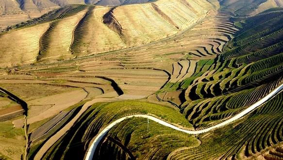 “红色+绿色”有机融合 乡村旅游更有后劲
