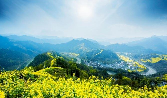 把握乡村振兴促进法精髓