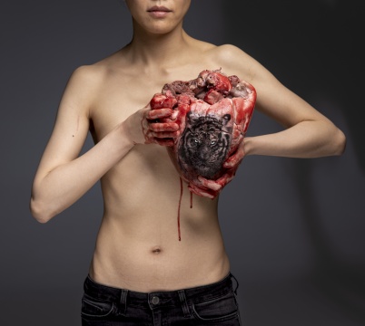 《胸中之物》 160 × 179 cm  C-print（公牛心脏、纹身虎头、艺术家本人） 2020