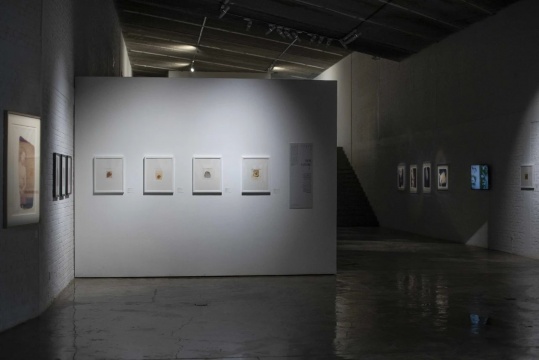 一层展厅 一层展厅