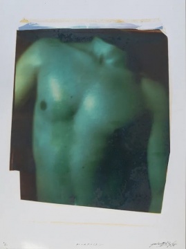 选自L系列 60 x 50 cm 宝丽来 1997 选自L系列 60 x 50 cm 宝丽来 1997
