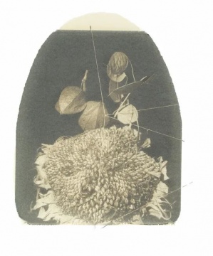 选自干花系列 50 x 35 cm 由黑白宝丽来转印至画纸 1997 选自干花系列 50 x 35 cm 由黑白宝丽来转印至画纸 1997