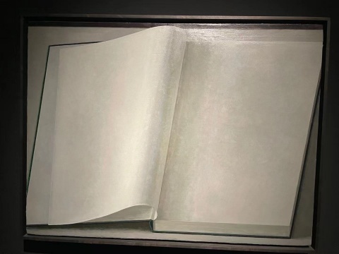 刘野 《书7号》 45×60cm 布面丙烯 2015 刘野 《书7号》 45×60cm 布面丙烯 2015
