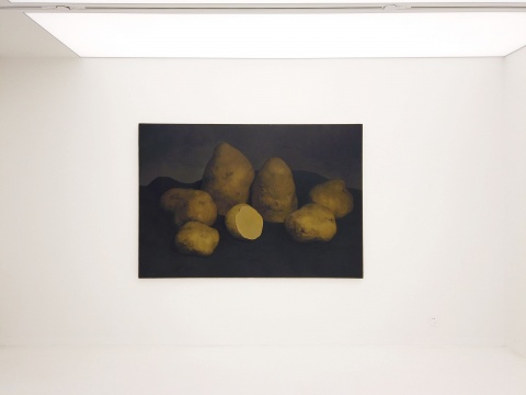 闫冰 《七个土豆》 150×220cm 布面油画 2016 闫冰 《七个土豆》 150×220cm 布面油画 2016