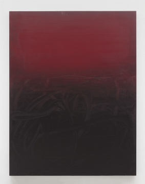 杨黎明 《暗红色书写系列》 280×215cm 布面油画 2020 杨黎明 《暗红色书写系列》 280×215cm 布面油画 2020