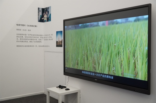 来自北大的千禧一代,在798做了一个关于家庭史的展览 来自北大的千禧一代,在798做了一个关于家庭史的展览