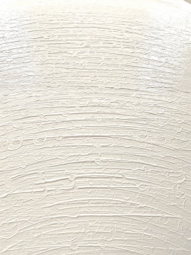 杨黎明 《灰白色系列》 100×81cm 布面油画 2020 杨黎明 《灰白色系列》 100×81cm 布面油画 2020