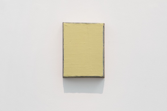 王光乐 《未命名2017》 27x20.5cm 木板、硅胶、丙烯 2017 王光乐 《未命名2017》 27x20.5cm 木板、硅胶、丙烯 2017