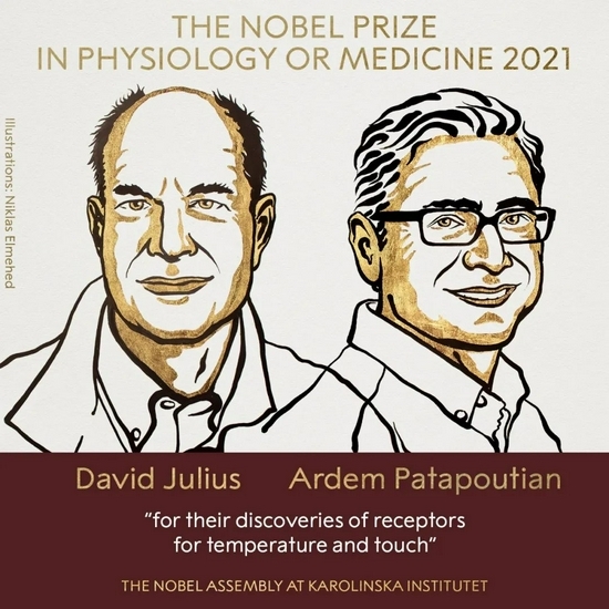 今年首个诺奖！破解人类感知之谜 诺贝尔奖金为何120年还没发完？