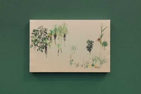 《自留地-看客》33×51cm 丝绸上国画,油性颜料 2020 《自留地-看客》33×51cm 丝绸上国画,油性颜料 2020