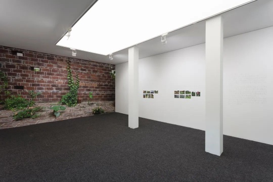 拾萬空间“自留地”展览现场 拾萬空间“自留地”展览现场