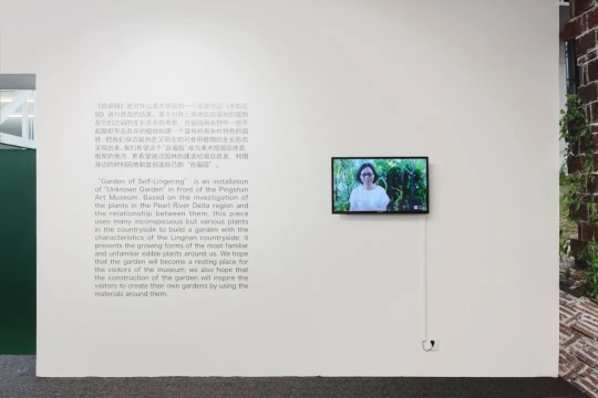 沈瑞筠:自留地 展览现场 沈瑞筠:自留地 展览现场