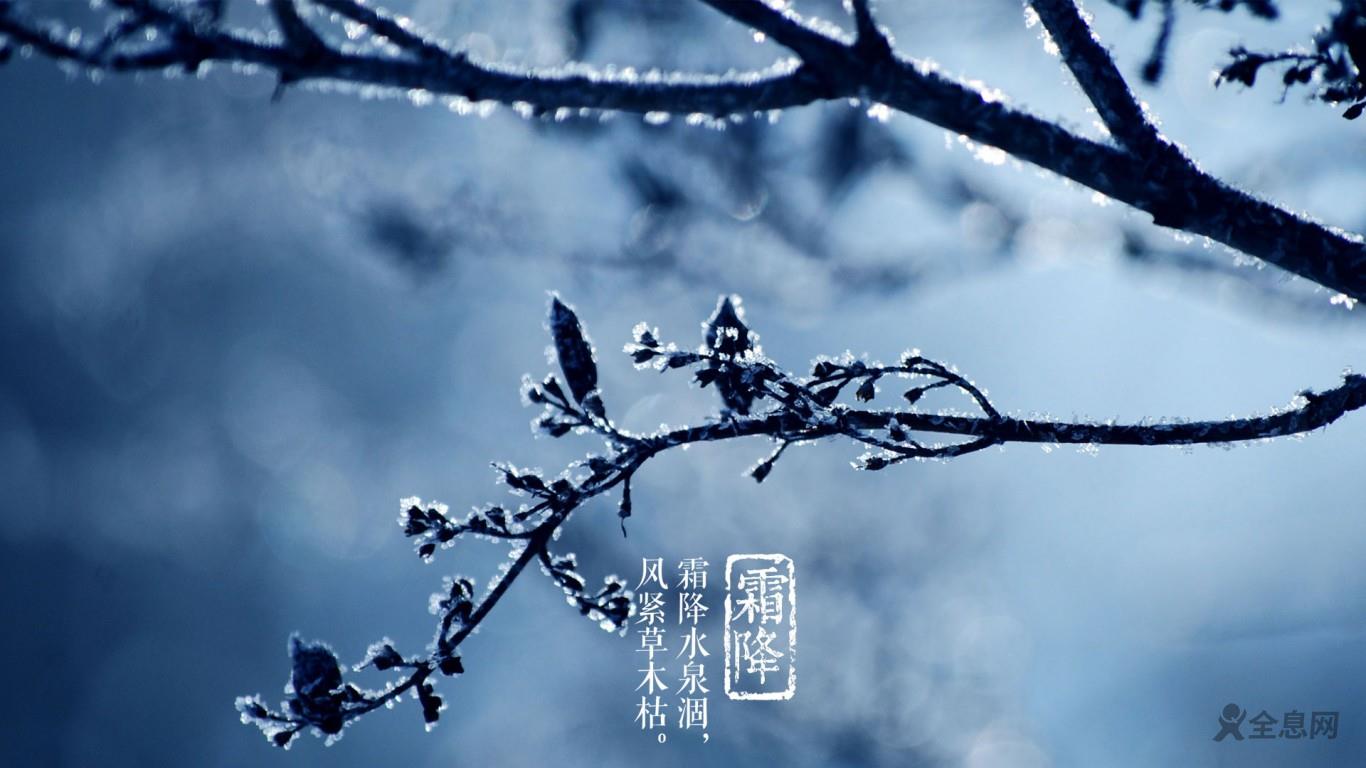 23日12时51分“霜降”：人间至此秋色尽，草木摇落露为霜
