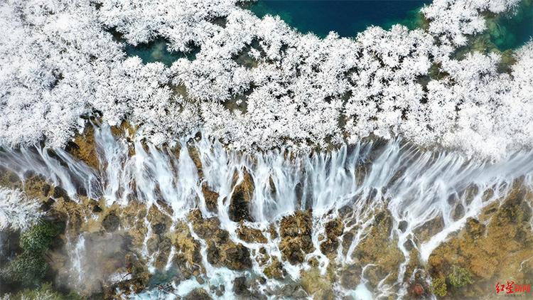 （中首）立冬，一场雪让九寨沟成了“童话世界”_fororder_未标题-1