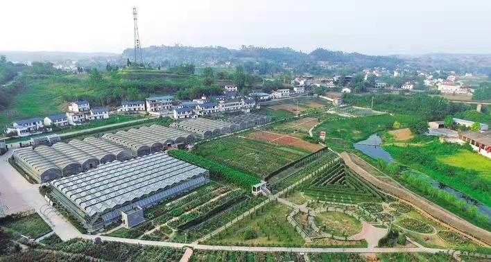 “十四五”，农业农村现代化这样推进