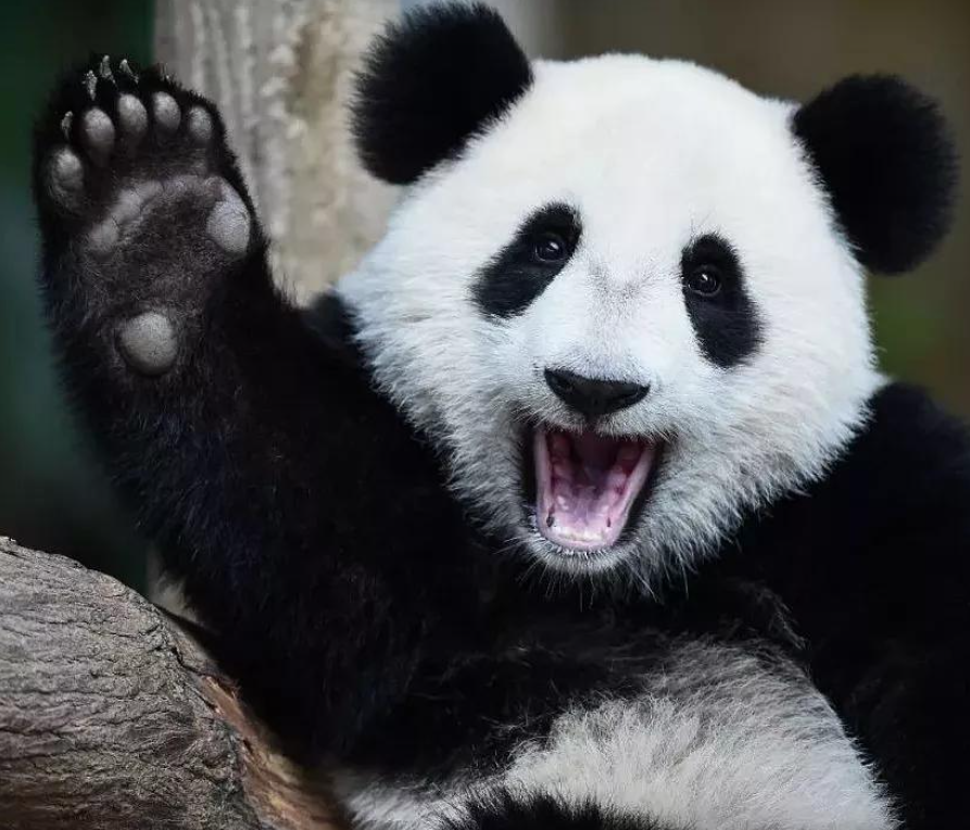 专题图片