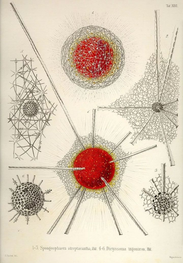 1569293466%E8%99%AB35.jpg?size=178141