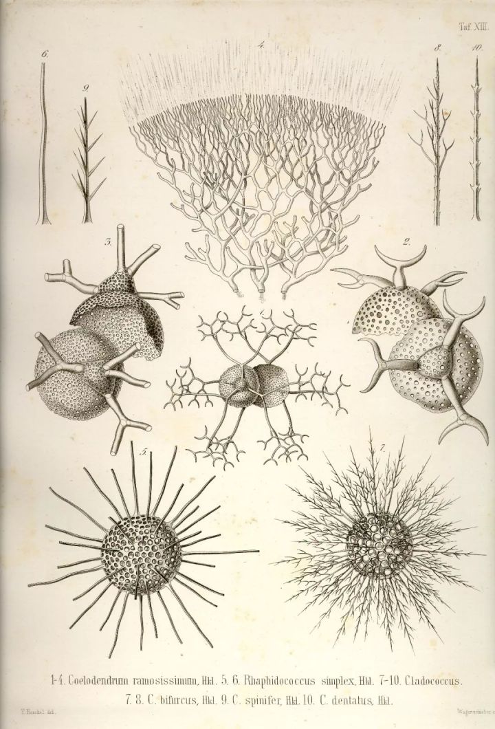 1569293348%E8%99%AB23.jpg?size=142543