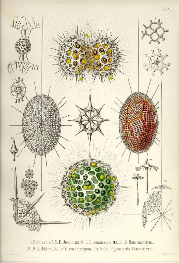 1569293436%E8%99%AB31.jpg?size=177947