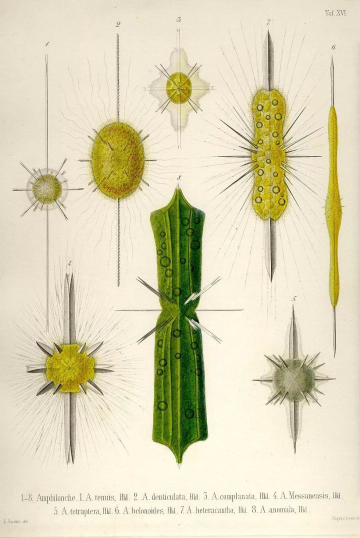 1569293373%E8%99%AB26.jpg?size=116776