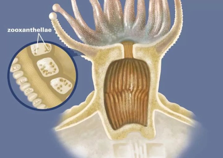 1569293081%E8%99%AB7.jpg?size=42614