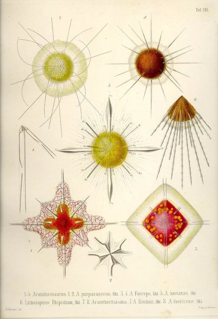 1569293390%E8%99%AB28.jpg?size=113272