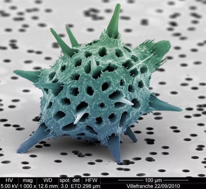 1569293044%E8%99%AB4.jpg?size=77226