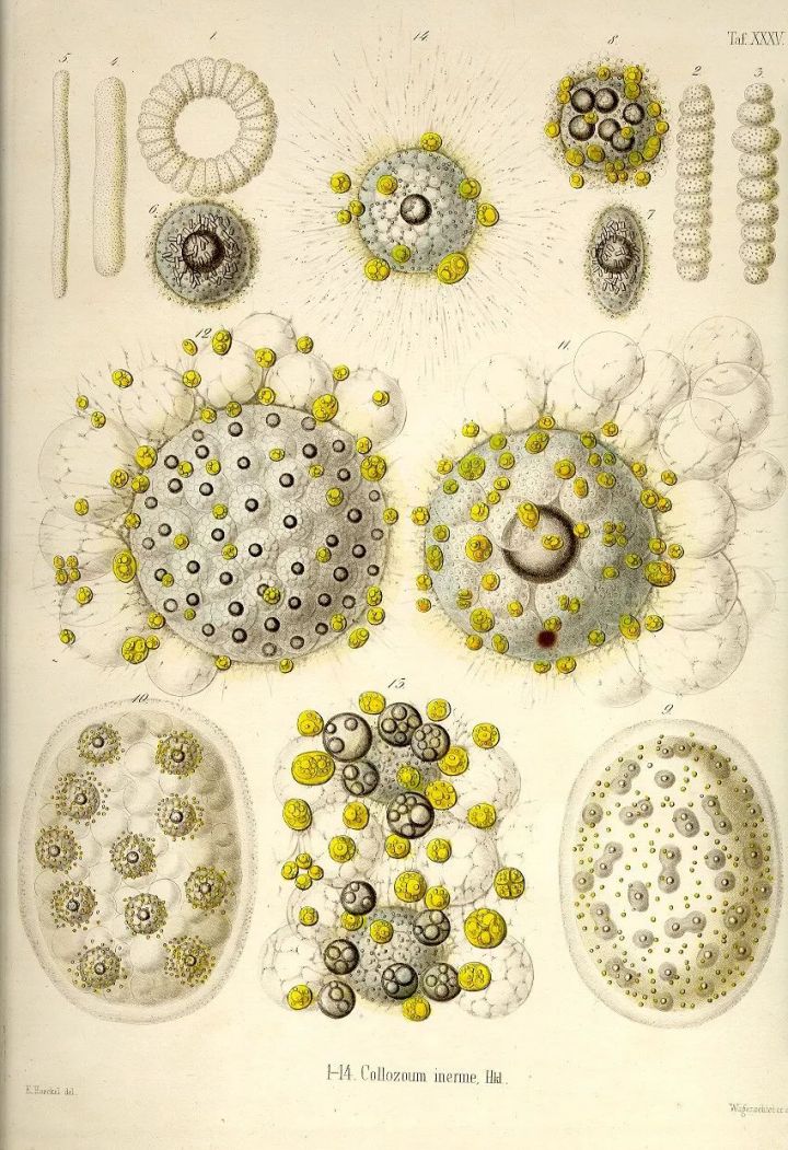 1569293545%E8%99%AB44.jpg?size=180583