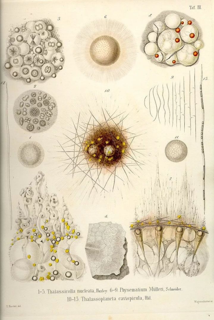 1569293141%E8%99%AB12.jpg?size=147458