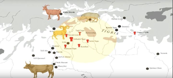 1569294206v2-0e12e8f1135f8ef212b8ac97eee788e1_hd.jpg?size=26955