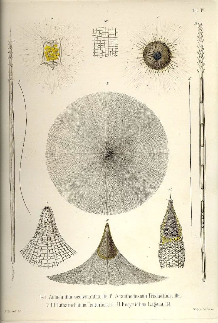 1569293150%E8%99%AB13.jpg?size=153302