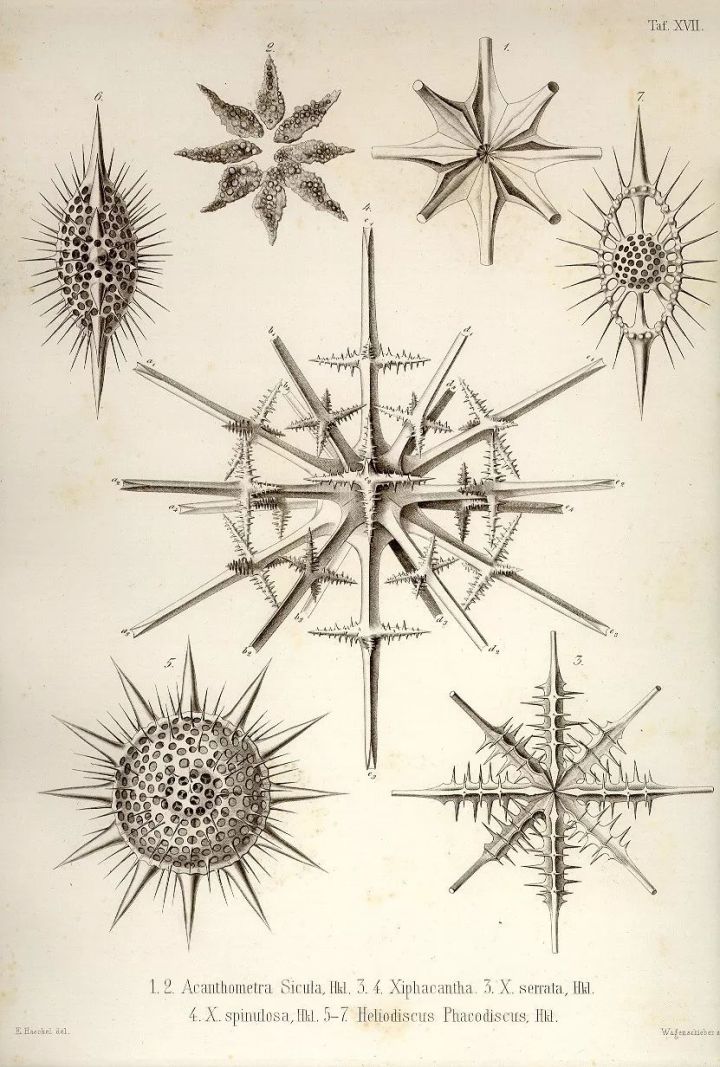 1569293383%E8%99%AB27.jpg?size=139792