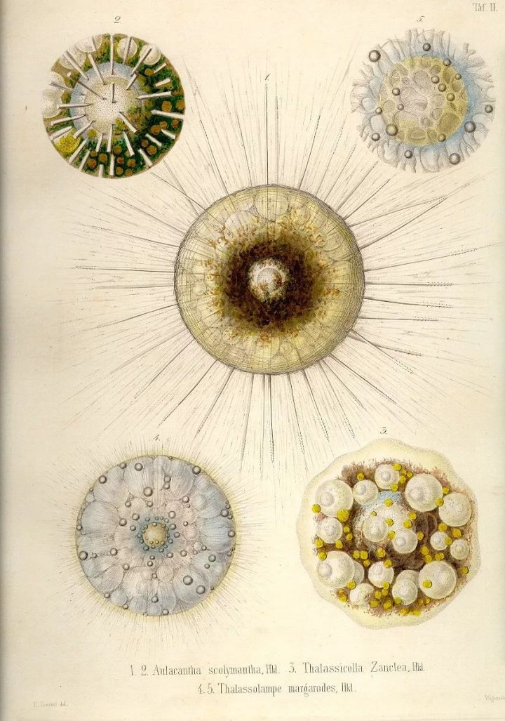 1569293131%E8%99%AB11.jpg?size=136939