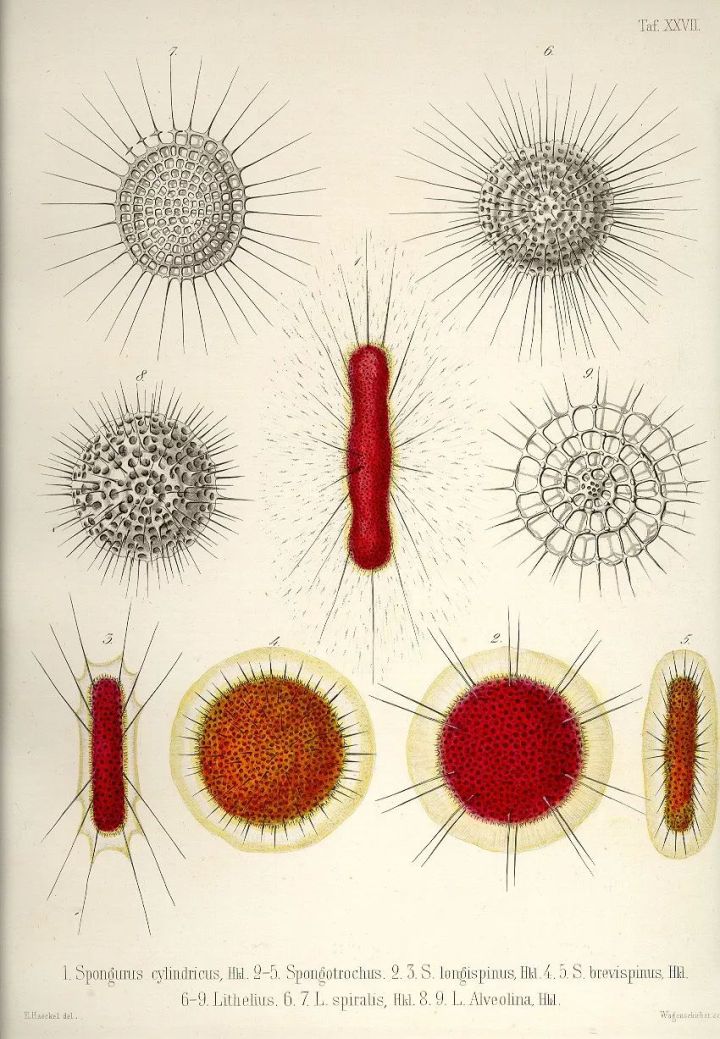 1569293474%E8%99%AB36.jpg?size=148571